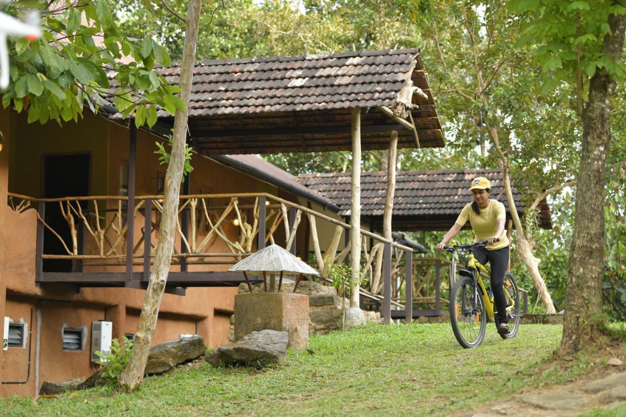Apartmán Beyond Eco Living Munnar Exteriér fotografie
