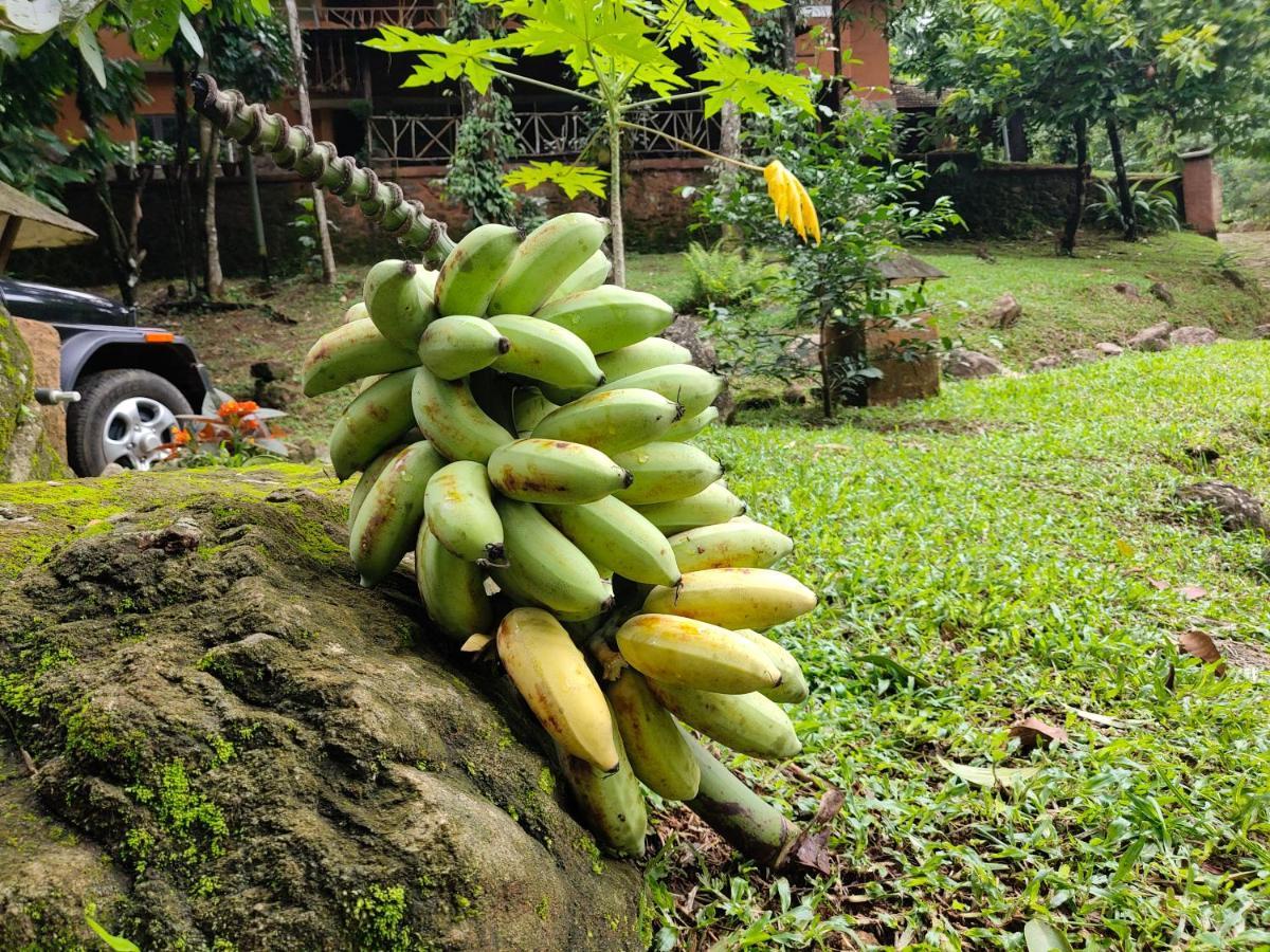 Apartmán Beyond Eco Living Munnar Exteriér fotografie